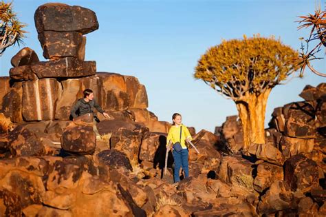 The Quiver Tree Forest | Places To See & Attractions In Namibia