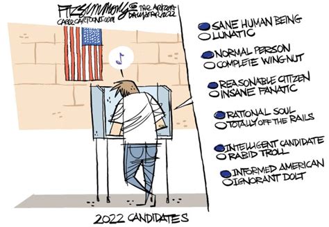 Political Cartoons: 2022 Election vote counting, insecurity, turnout