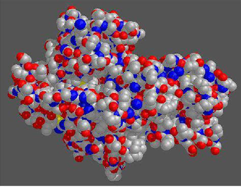 4: Tertiary structure of hexokinase. | Download Scientific Diagram