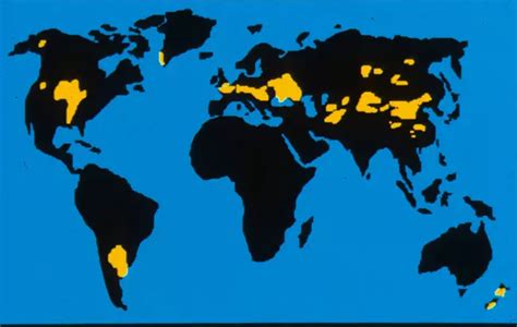 Global Distribution of Loess