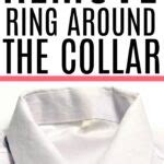 How To Remove Ring Around The Collar - Frugally Blonde