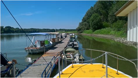 The bridge and the ferry on the Po River - MedCrave online