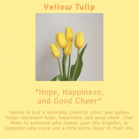 yellow tulip meaning | Tulips meaning, Tulips quotes, Yellow tulips