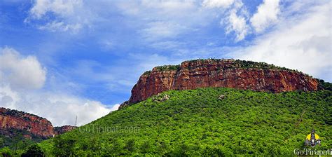 Tirumala Tirupati Temple — Arunachalam Temple Tiruvannamalai, History,...