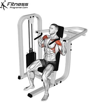 How To Do Lever Shoulder Press - Benefits And Muscles Worked