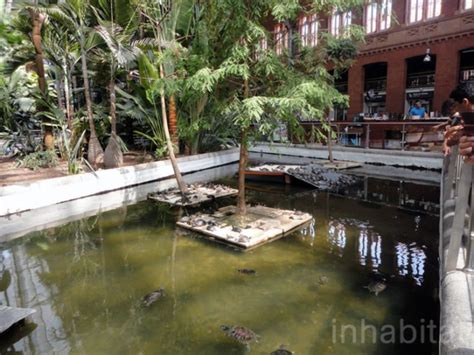 Madrid’s Atocha Station Doubles as an Indoor Botanical Garden and Turtle Sanctuary