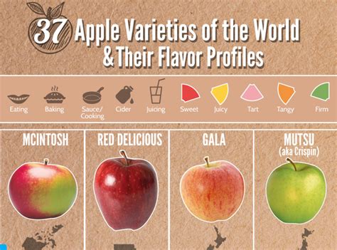 37 Apple Varieties Around the World & Their Flavor Profiles | Apple ...