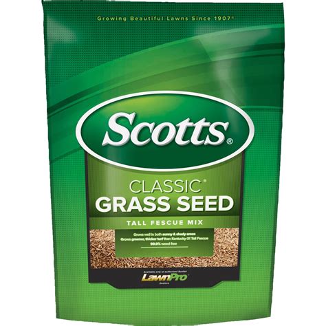 Scotts Classic Tall Fescue Grass Seed - Walmart.com - Walmart.com