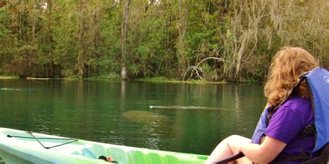 Silver Springs Kayaking | Wildlife Kayaking Tours Silver Springs State Park