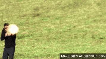 Bullpup GIFs - Find & Share on GIPHY