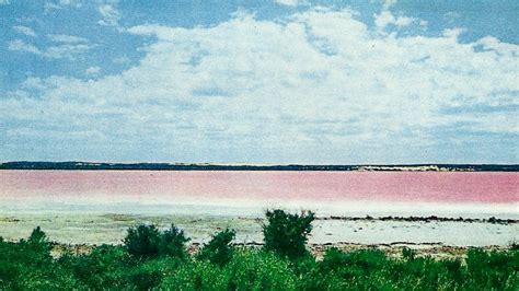 Famous Esperance Pink Lake fades, leaving tourists confused and town with an identity crisis ...