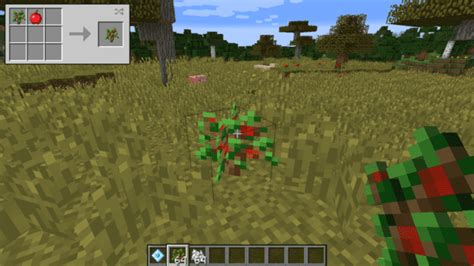 Apple Trees | Minecraft Mods