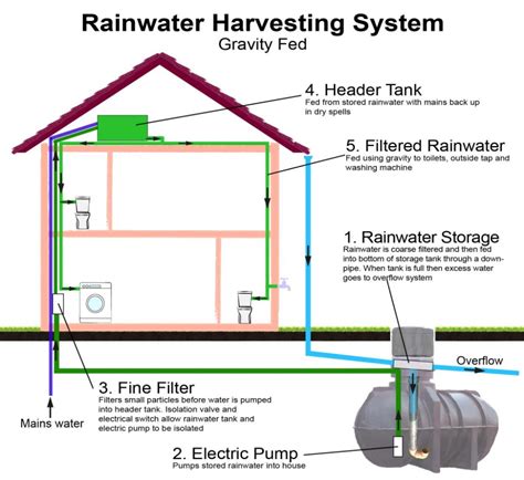 Rainwater Harvesting Systems - Great Home | Rainwater harvesting system, Rain water collection ...