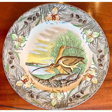 Early 20th Century Adams Dinner Plates Audubon "Birds of America" -- Set of 6 | Chairish