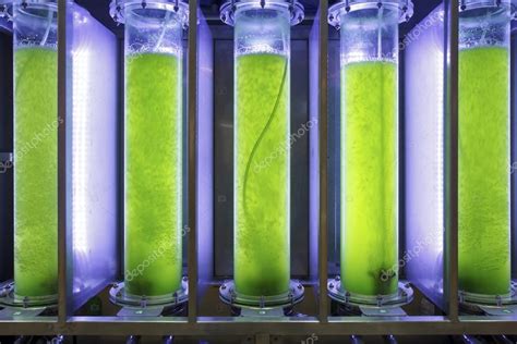 Photobioreactor in lab algae fuel biofuel industry. — Stock Photo © toa55 #61903445