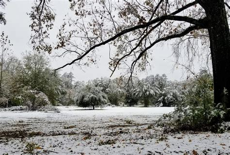 Louisiana Snow. The beautiful subtle look of snow in a… | by Jeremy ...