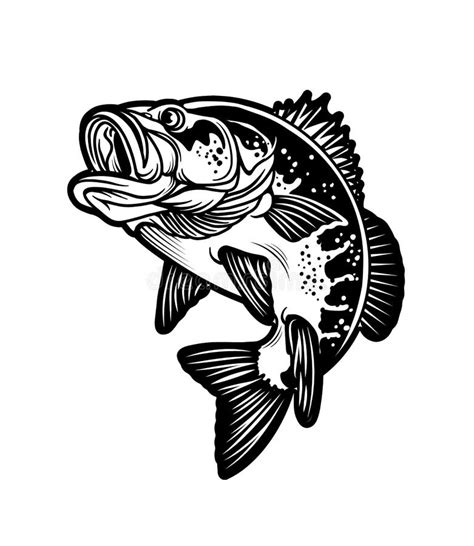 Largemouth Bass Black White Stock Illustrations – 248 Largemouth Bass Black White Stock ...