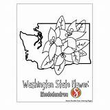 Free Rhododendron Coloring Pages — Stevie Doodles sketch template