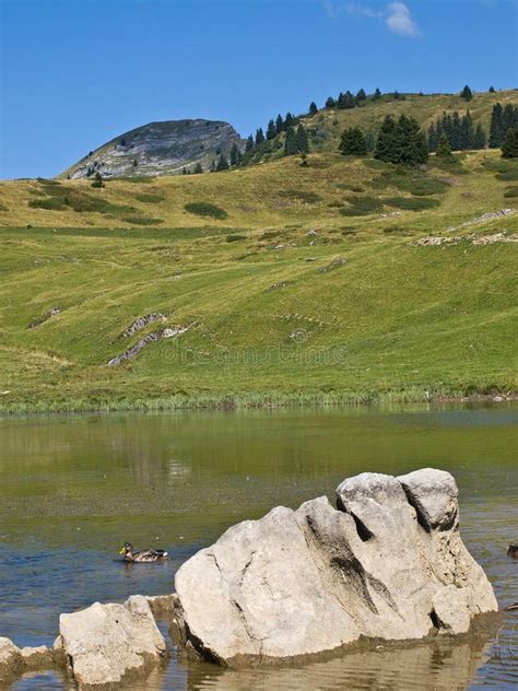 Big stone in the lake stock photo. Image of mountains - 11890468