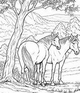 Realistic Animal Coloring Pages  For Kids And Adults sketch template