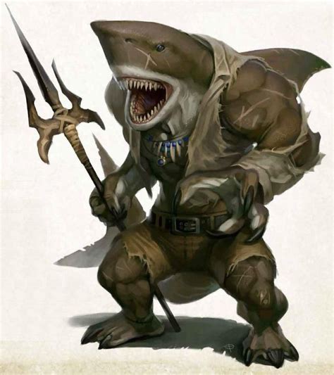 Pin on Shark People