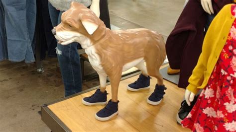 Dog mannequin at Old Navy | Dogs, Old navy, Navy