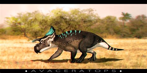 Avaceratops by TimelordLoki | Prehistoric animals