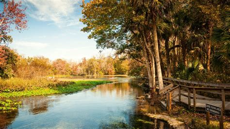 7 Best Natural Springs in Florida You Need to Visit