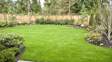 How To Level A Yard: Tools And Tips | EarlyExperts