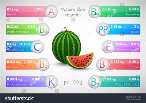 Watermelon Vitamins Detailed Infographic Stock Vector (Royalty Free) 583243705 | Shutterstock