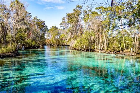 23 Most Beautiful Natural Springs in Florida to Add to Your Bucket List - Misadventures of an ...