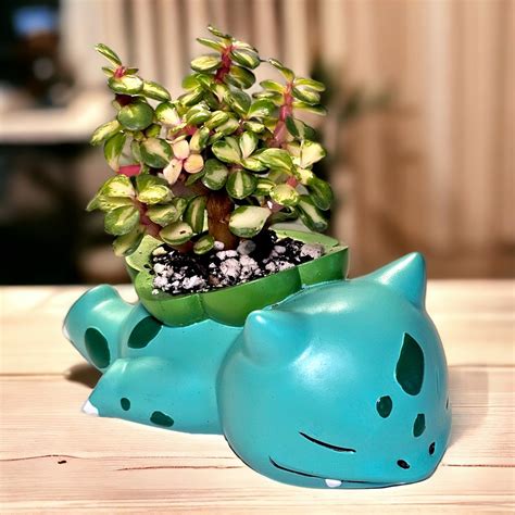 Amazon.com : Pinsjar 3 Pack Succulent Plant Pots, Ceramic Planters Mini Cute Animal Planters for ...
