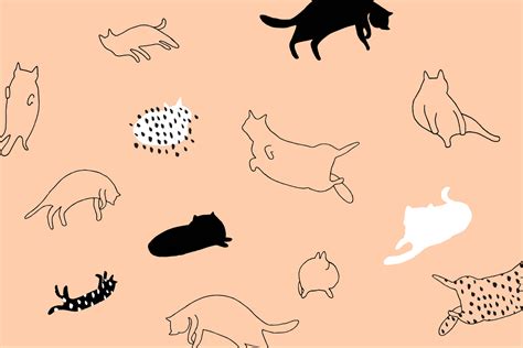 Download Cat Art Minimalist Outline Illustration Wallpaper | Wallpapers.com