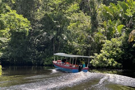 Tortuguero National Park is a Haven for Wildlife - Journeys With Steve