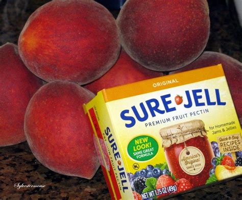 Homemade Jam or Jelly Recipe Using Sure Jell Fruit Pectin - Cooking for ...