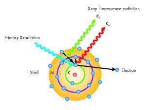 Principle | West Campus Materials Characterization Core