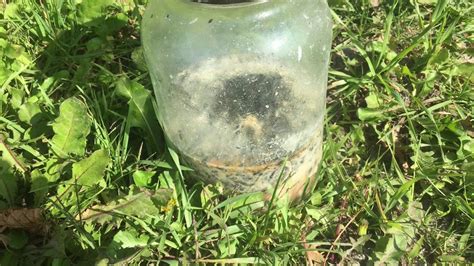 DIY black fly trap - YouTube