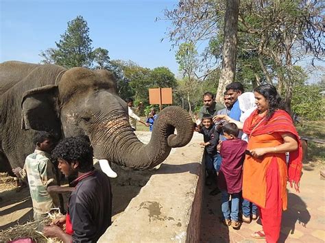 List of elephant Sanctuaries in India