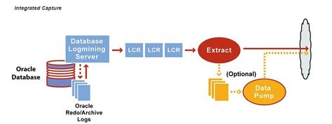 Oracle GoldenGate Tutorial: Oracle Goldengate Tutorial - Beginner (Level 5)