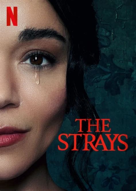 The Strays Coming To Netflix Tomorrow! - Movie & TV Reviews, Celebrity News | Dead Talk News