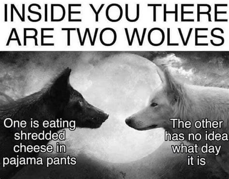 Two Wolves Meme Template