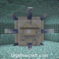 How to Summon an Elder Guardian in Minecraft