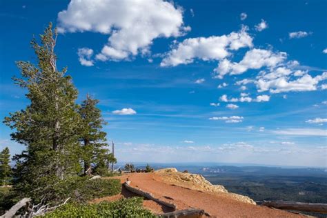 12 Incredible Hikes in Bryce Canyon – Insider's Utah