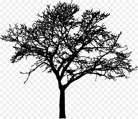 Africa Silhouette Tree Drawing - urban vector png download - 800*800 - Free Transparent Africa ...