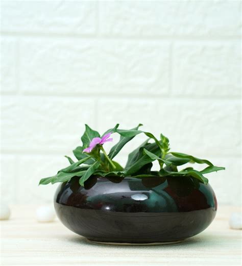 Buy Black Ceramic Desk Pot at 19% OFF by Gold Dust | Pepperfry