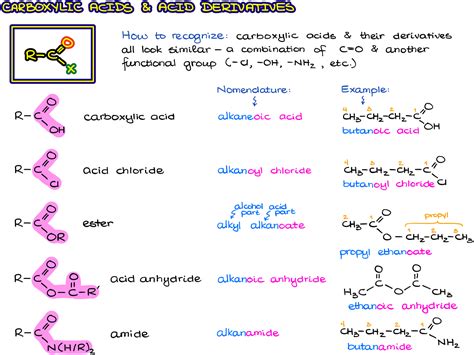 Organic Chemistry Functional Groups Cheat Sheet Mcat Vrogu – NBKomputer