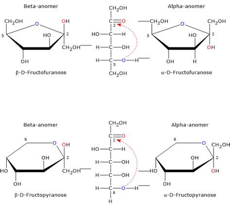 Fructose Structure Diagram