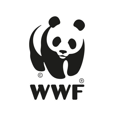 Download Wwf Logo Beled - Wwf Canada Logo PNG Image with No Background ...