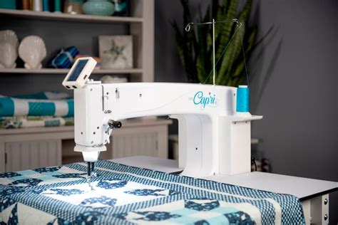 9 Best Long-Arm Quilting Machines Reviewed in Detail (Winter 2024)