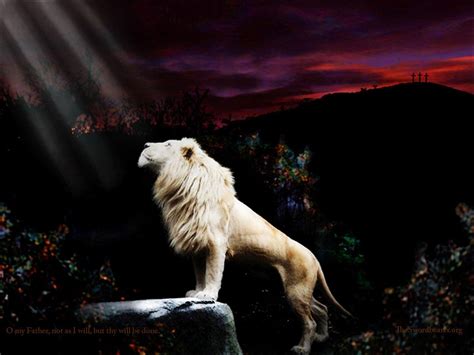 Lion Of Judah HD Wallpapers - Wallpaper Cave